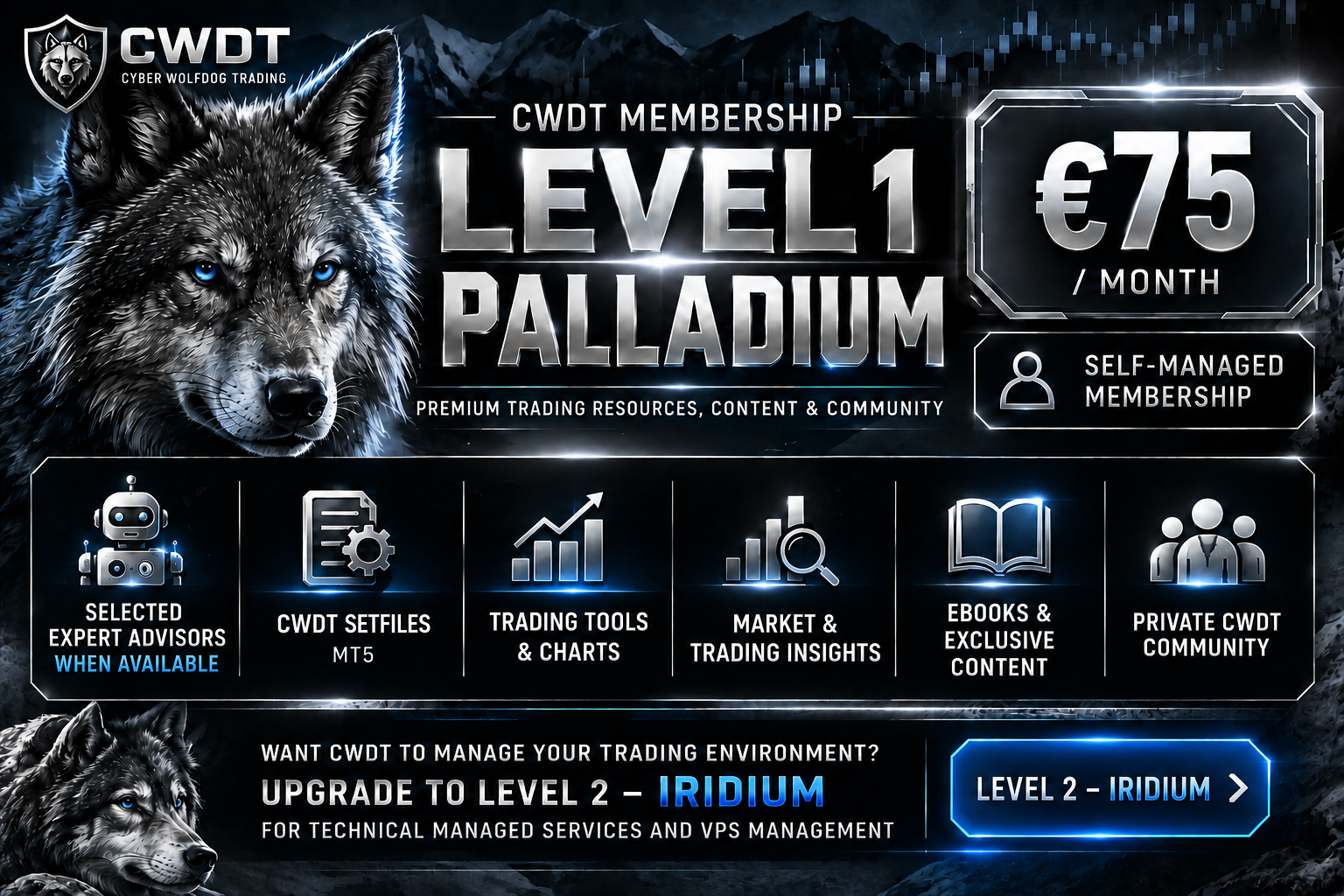 CWDT Level 1 Palladium Membership
