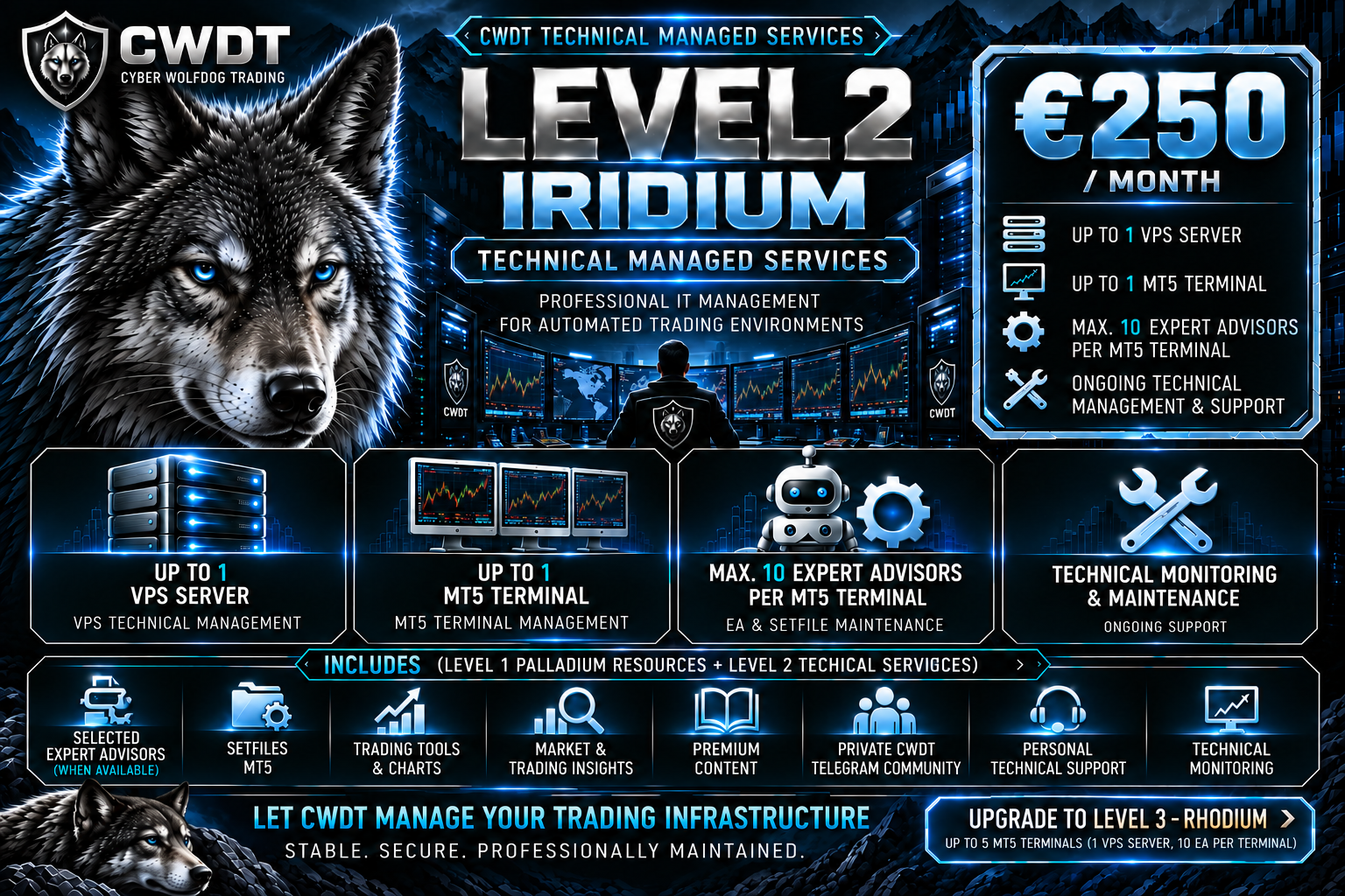 CWDT Level 2 Iridium Technical Managed Services