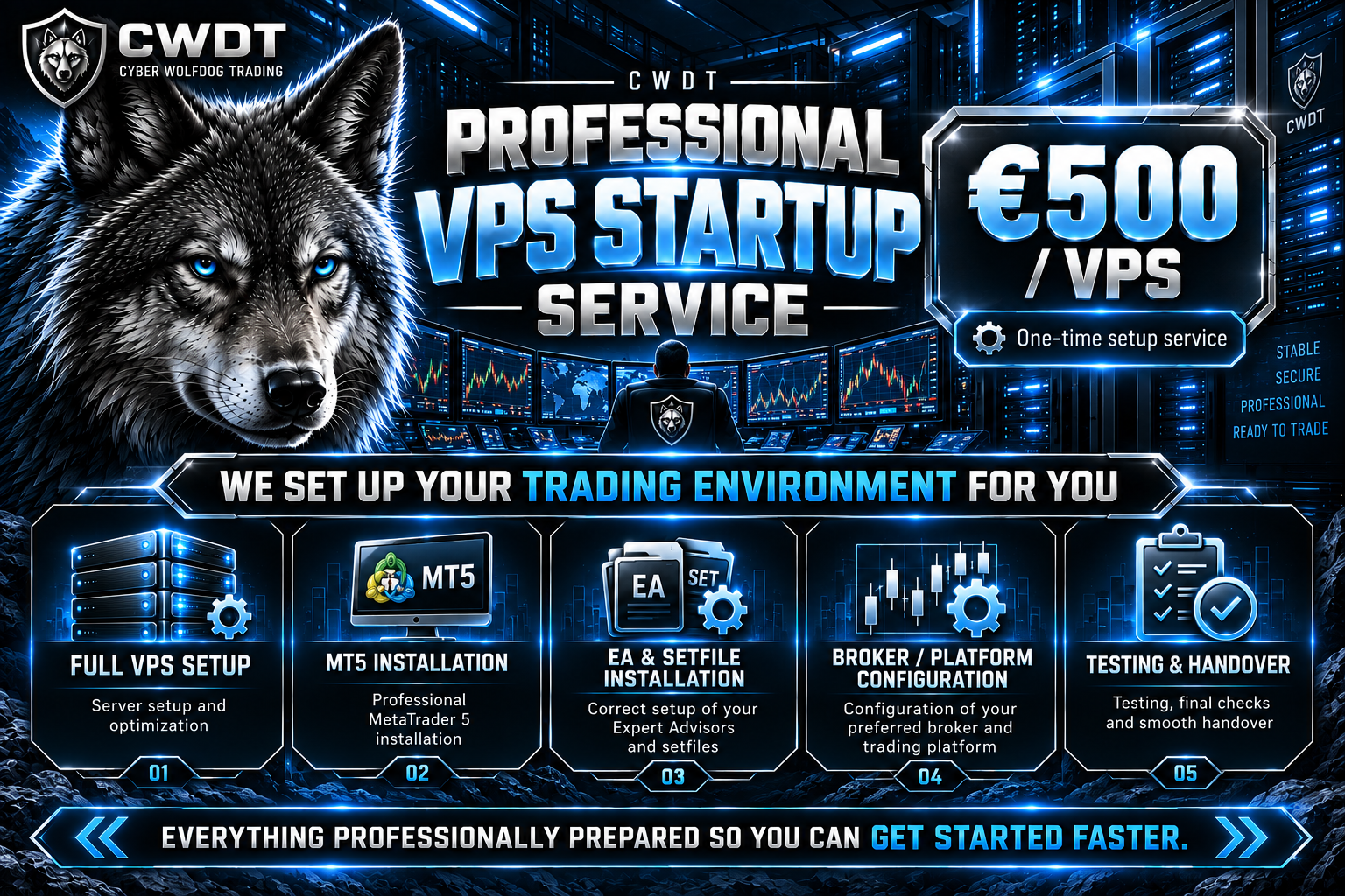 CWDT Professional VPS Startup Service — €500 one-time per VPS